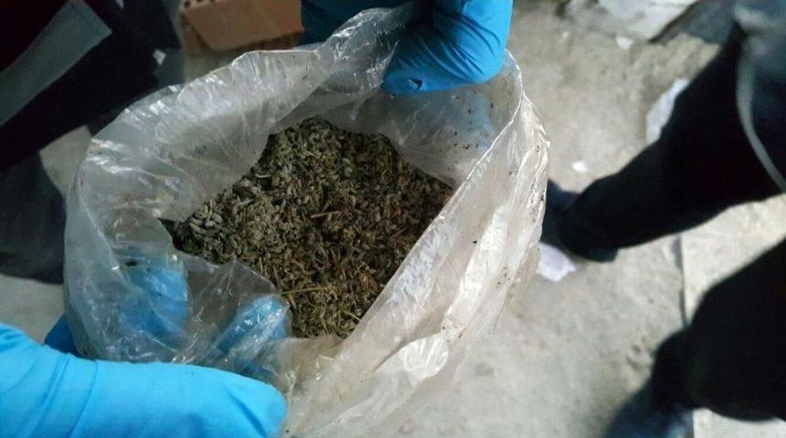 Hurda Ara&ccedil;lara Saklanan Uyuşturucuları Narkotik K&ouml;peği Buldu