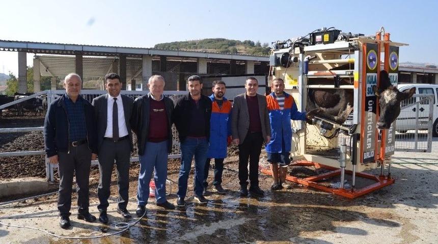 B&uuml;y&uuml;kbaş Hayvanlara Tırnak Bakımı Uyarısı