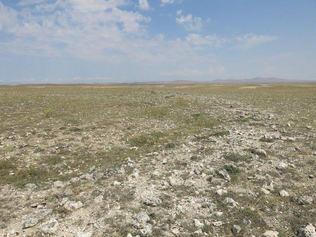 Kurtuluş Savaşı&rsquo;ndan Kalan Mevzileri Tesad&uuml;fen Buldu 2