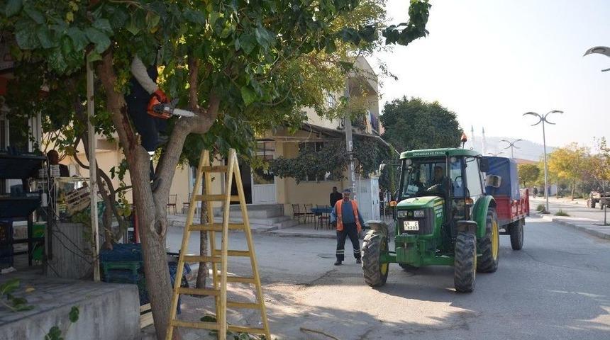 Ağa&ccedil;lar Kışa Hazırlanıyor