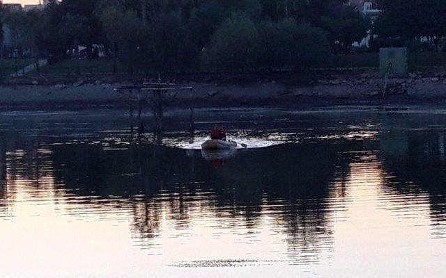 Misinaya Takılan Martıyı Cankur Kurtardı 1