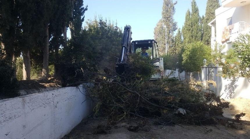 Bodrum&rsquo;da Dere Taşkınlarına &Ouml;nlem