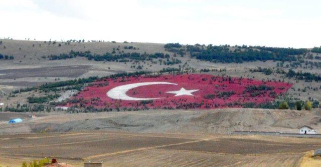 20 Bin Taş Kullanılarak Türk Bayrağı Yapıldı