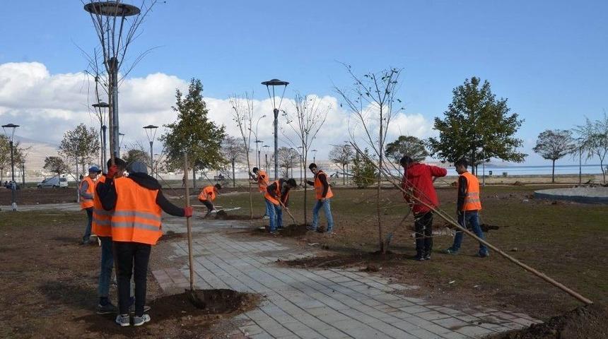 Tatvan&rsquo;da Sahil Parkı &Ccedil;alışmalarında Sona Gelindi