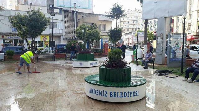 Akdeniz Fidanlığında 150 Bin Adet &Ccedil;i&ccedil;ek &Uuml;retildi 1