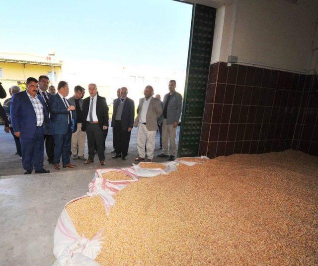 Coşkun: &ldquo;yer Fıstığı Konusunda Her T&uuml;rl&uuml; Desteği Vermeye Hazırız&rdquo; 2