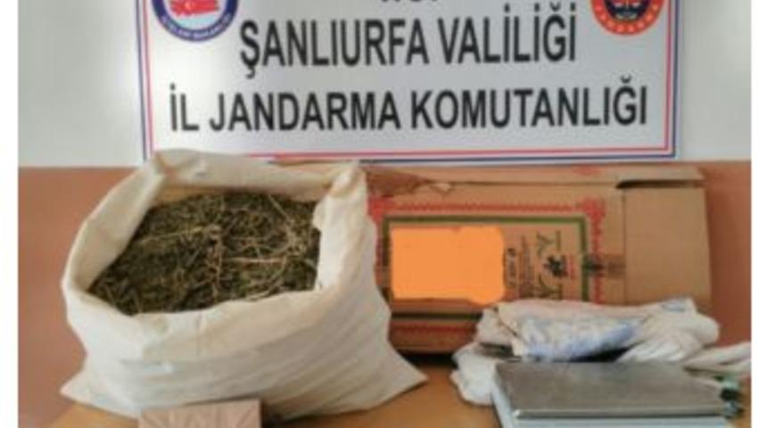Şanlıurfa&rsquo;da 6 Kilo Esrar Ele Ge&ccedil;irildi