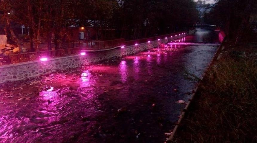 Dere İ&ccedil;i Işıl Işıl Oldu