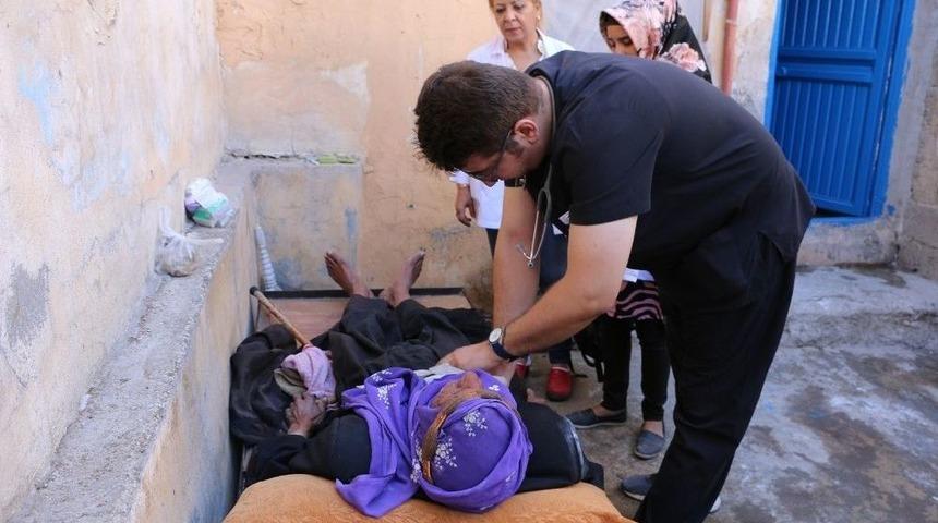 Yeşeren &Ccedil;ınarlar Yades Projesiyle Yaşama Tutunuyor