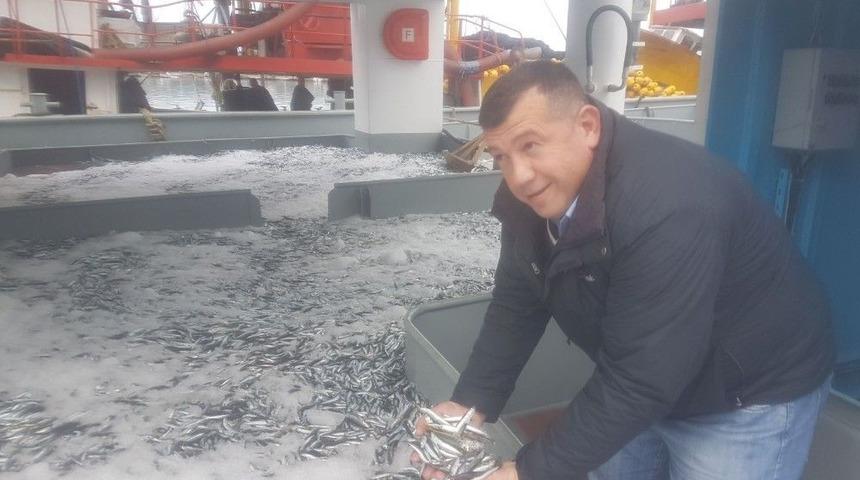 Rize&rsquo;de Hamsi Bereketi