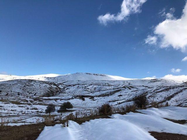 Derbent Aladağ Beyaza B&uuml;r&uuml;nd&uuml; 2