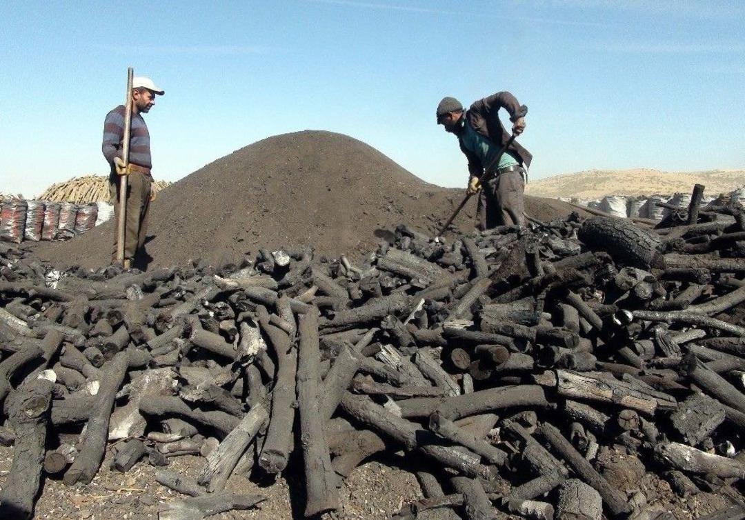 (&ouml;zel Haber) Ekmeklerini Mangal K&ouml;m&uuml;r&uuml; Yaparak Kazanıyorlar