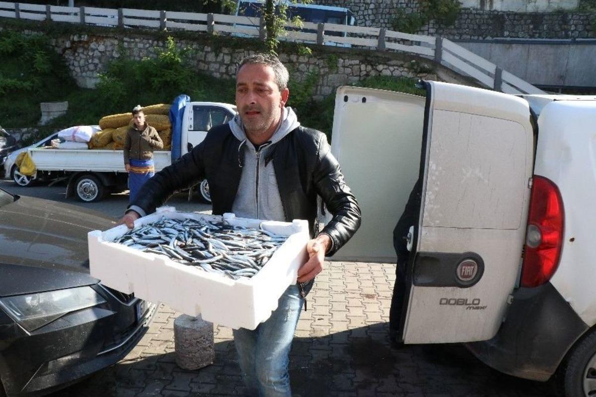 Hamsinin Kilosunu 2 Liradan Sattılar