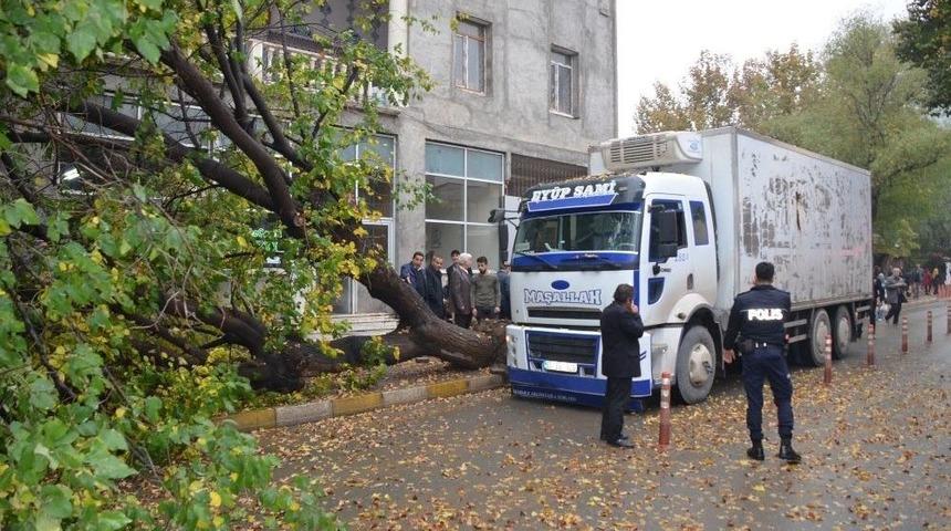 Kamyonun &Ccedil;arptığı Ağa&ccedil; Yola Devrildi