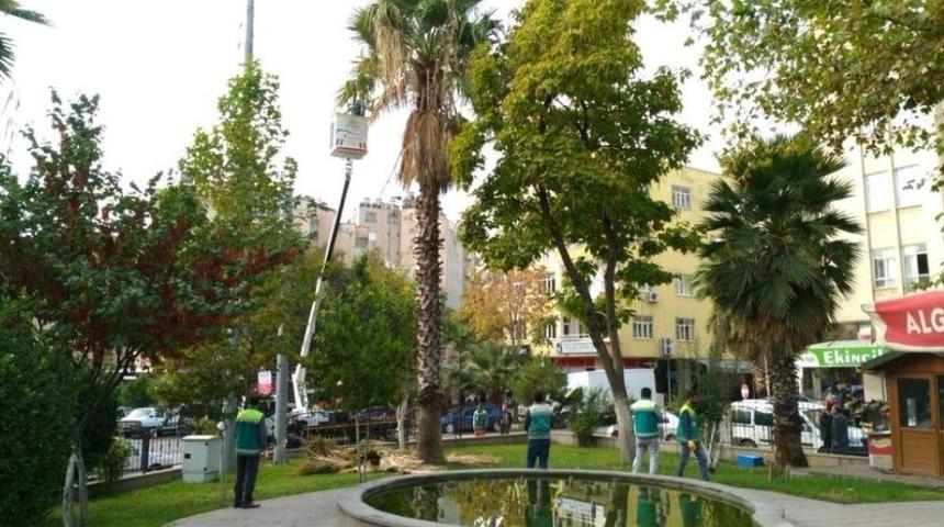 Adıyaman Belediyesinden Ağa&ccedil;lara Bakım
