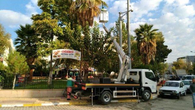 Adıyaman Belediyesinden Ağaçlara Bakım