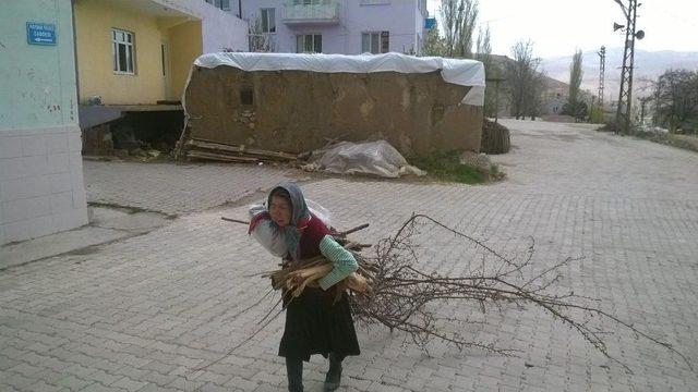 Yaşlı Kadına Kaymakam Sahip Çıktı