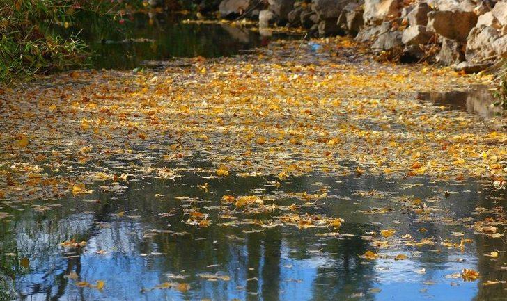 Beyşehir Gölü Milli Parkı’nda Kartpostallık Görüntüler G3