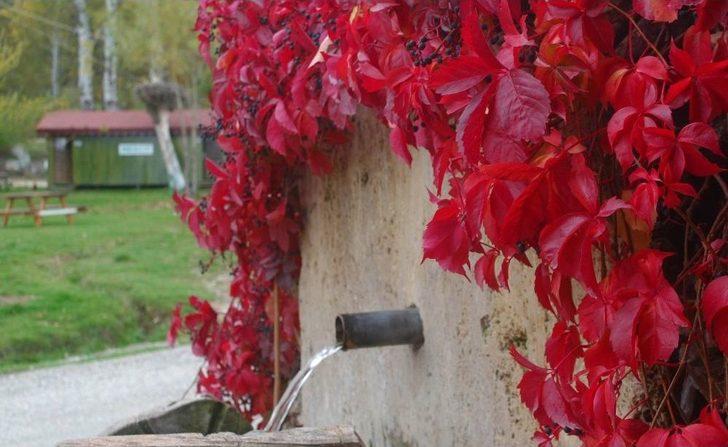 Beyşehir Gölü Milli Parkı’nda Kartpostallık Görüntüler G4