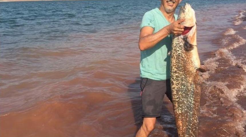 Boyu Kadar Balık Yakaladı