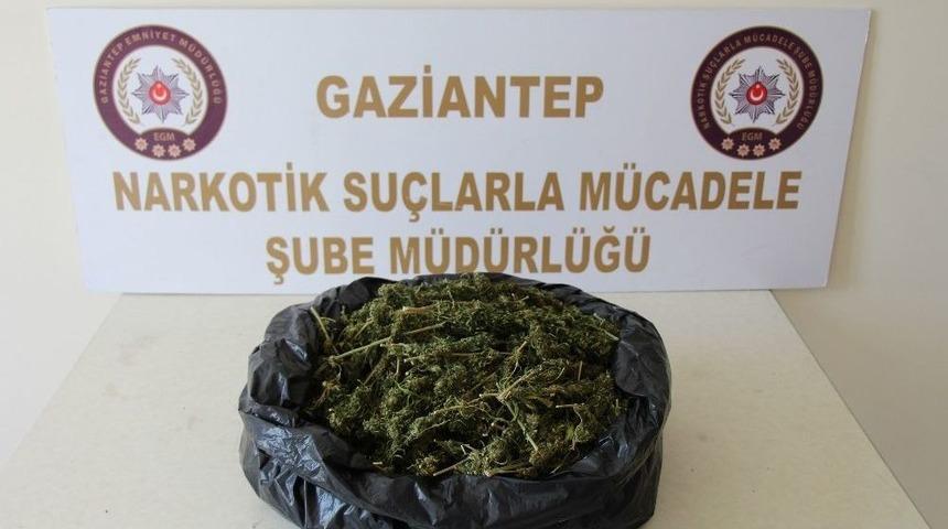 Gaziantep’te Uyuşturucu Operasyonu: 5 Gözaltı