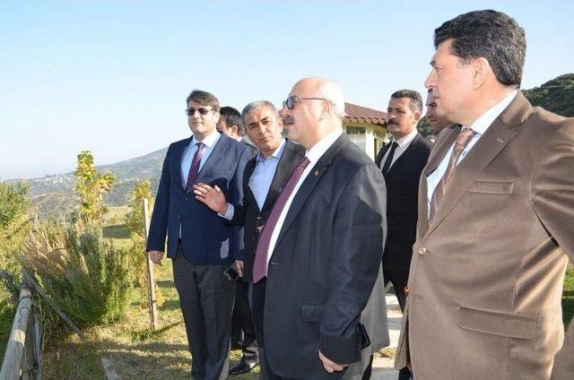 Vali Köşger, Koçarlı’yı Ziyaret Etti 1