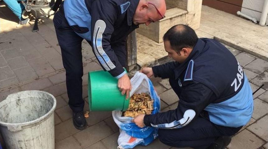 Zabıtadan Zehirli Mantar Uyarısı