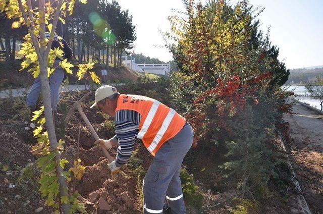 Yapılan Çalışmalarla Bilecik Güzelleştirilmeye Devam Ediyor