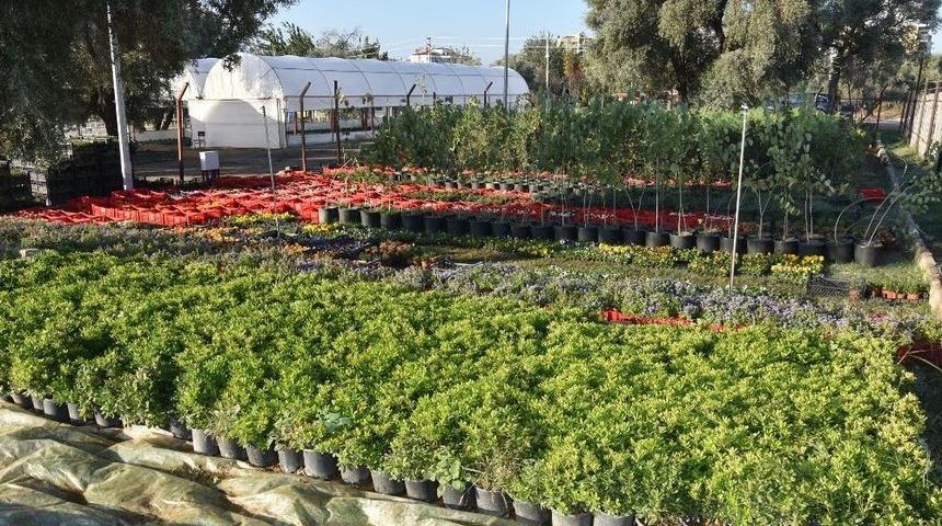 Yeni Fidanlık İle &Uuml;retim Kapasitesi Arttı