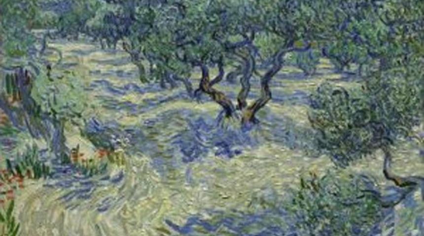 Van Gogh&rsquo;un Tablolarından Birinde &Ccedil;ekirge Bulundu