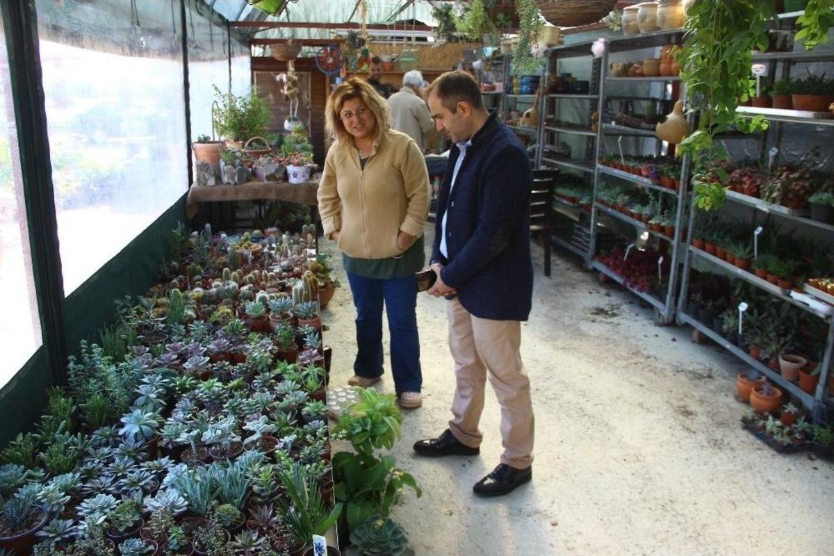 Kışın Da Bah&ccedil;eyi Pencerenize, Balkona Getirebilir, Mandalina, Limon Yetiştirebilirsiniz