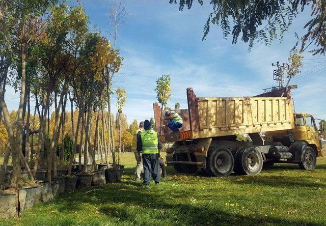 Atat&uuml;rk K&uuml;lt&uuml;r Parkı Yenilendi 2