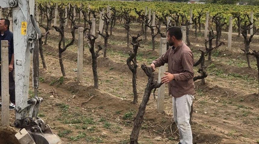 &Uuml;z&uuml;m Fiyatları Beklentiyi Karşılamayınca Bağını S&ouml;kmeye Başladı