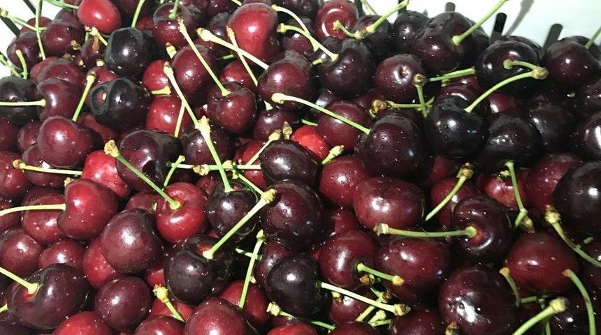 T&uuml;rk Kirazı Ve &Uuml;z&uuml;m&uuml; Uzak Doğu &Uuml;lkelerine Hava Kargo İle Ulaşacak