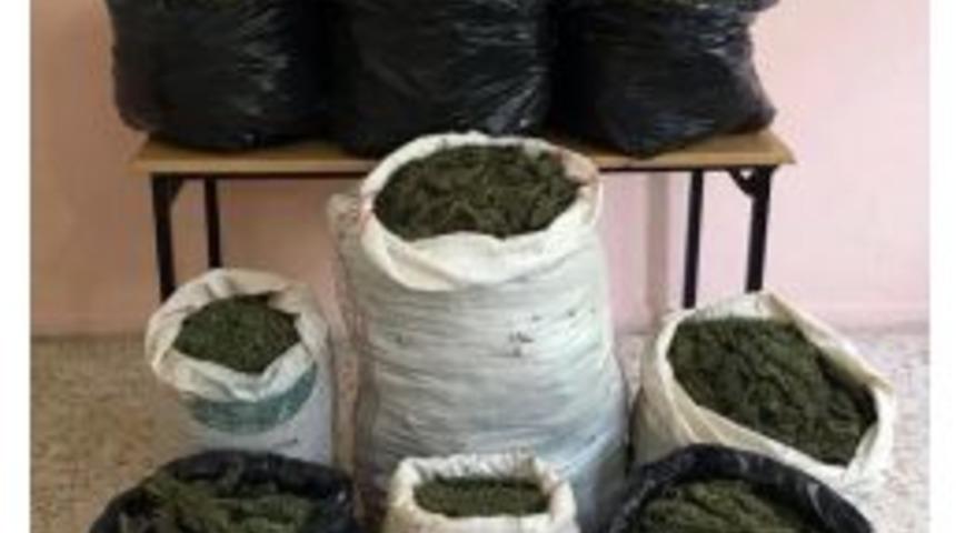 Şanlıurfa&rsquo;da 83 Kilo Esrar Ele Ge&ccedil;irildi