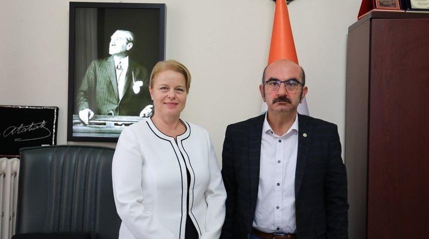 D&uuml;nya Diyabet G&uuml;n&uuml; Etkinlikleri