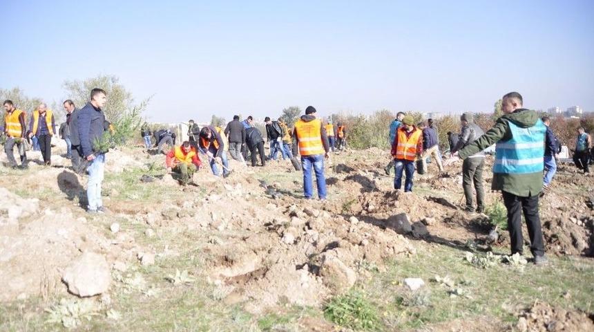 Denetimli Serbestliğe Tabi 500 Yükümlü Fidan Dikti