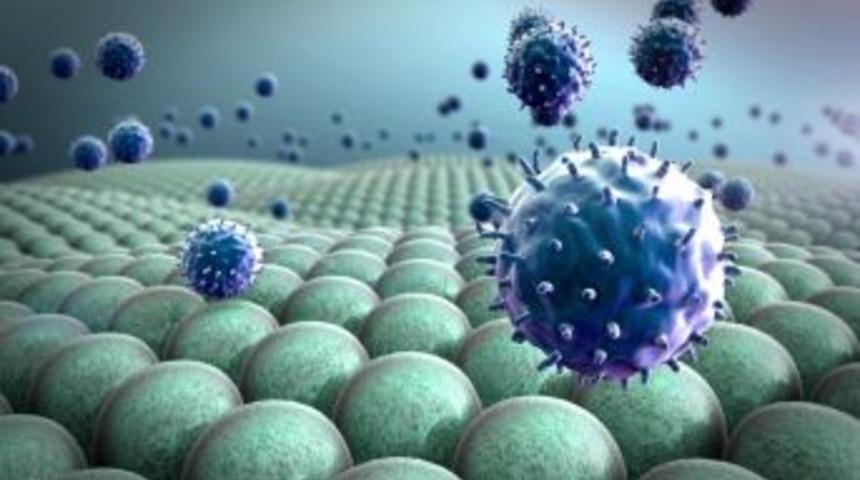 İmmunoloji, Otizm Ve Kanser İlişkisi Masaya Yatırılacak