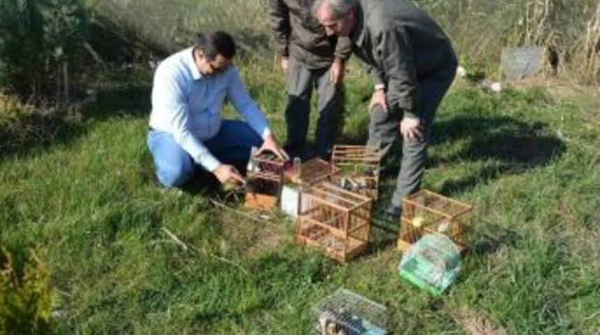 84 Saka Kuşuna 5 Bin 96 Tl Ceza