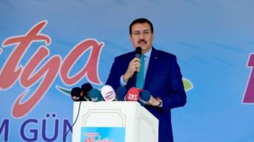 2 Milyon Kayısı Ağacı Kesildi İddiasına Bakan T&uuml;fenkci&rsquo;den Tepki