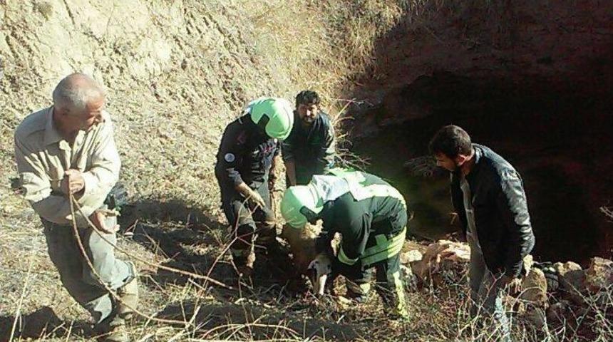 20 Metrelik Kuyuya D&uuml;şen Koyunu İtfaiye Kurtardı