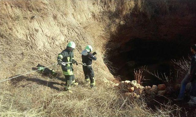 20 Metrelik Kuyuya Düşen Koyunu İtfaiye Kurtardı