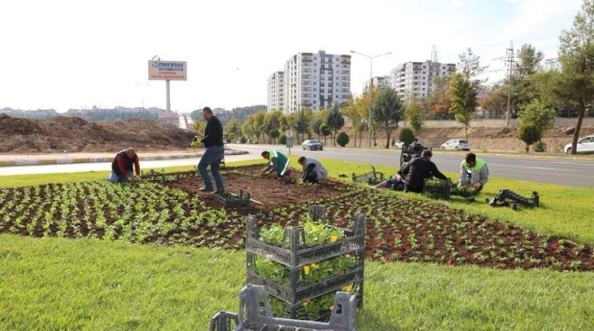 Kavşak Ve Ref&uuml;jler Renkleniyor
