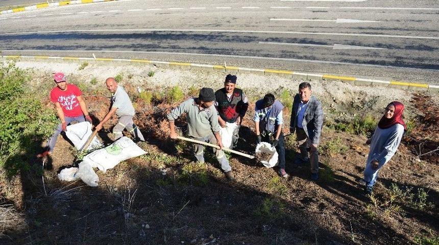 Yol &Ccedil;alışması Alanındaki Endemik Belen Bezelyesine &Ouml;zel Koruma