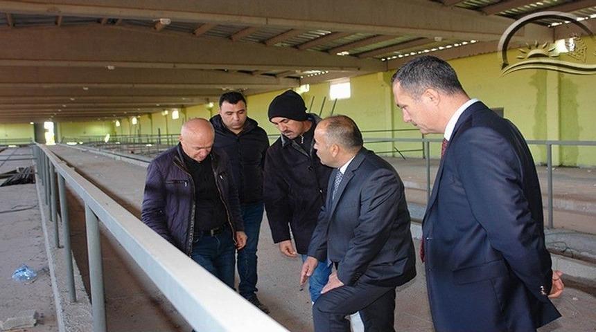 Damızlık Düve Projesi’nde Sona Yaklaşıldı