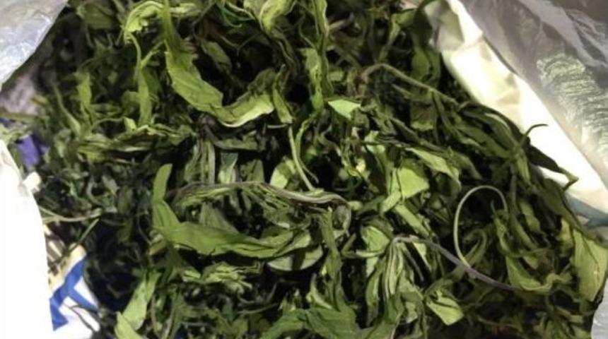 Karamürsel’de 7 Torbacı Ve 8 Kullanıcı Yakalandı