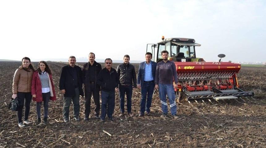 K&ouml;pr&uuml; Ve Saban Toprakla Buluştu