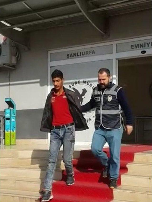 Kapka&ccedil; Anı Kamerada 1