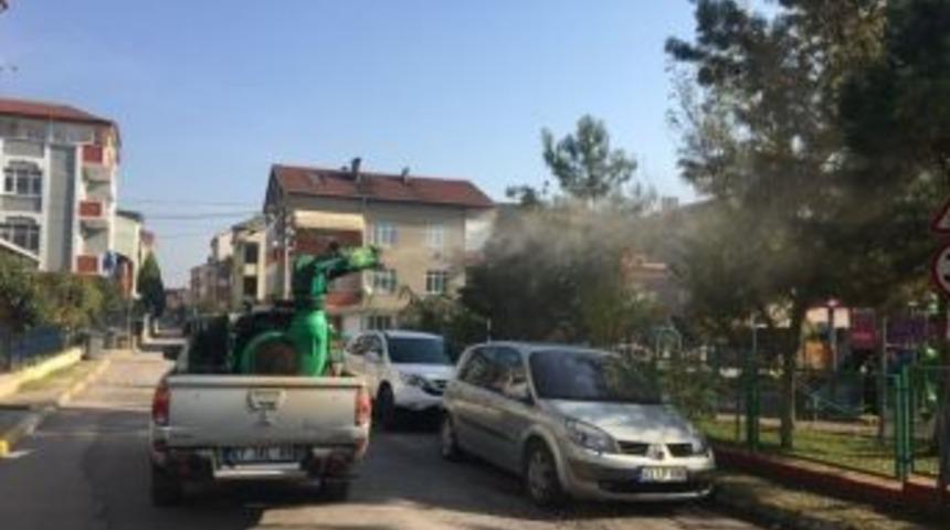 K&ouml;rfez&rsquo;de &Ccedil;am Kese Tırtılı İle M&uuml;cadele