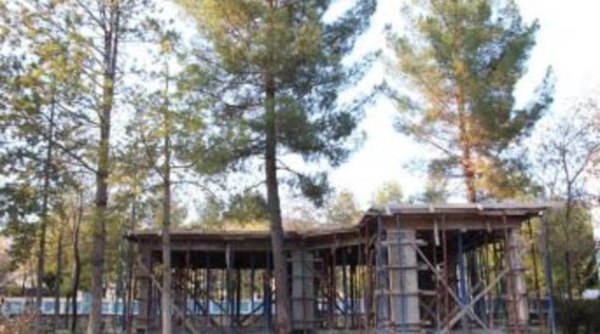 Hani Belediyesi 35 Yıllık &Ccedil;am Ağacını Kesmemek İ&ccedil;in Projede Değişiklik Yaptı